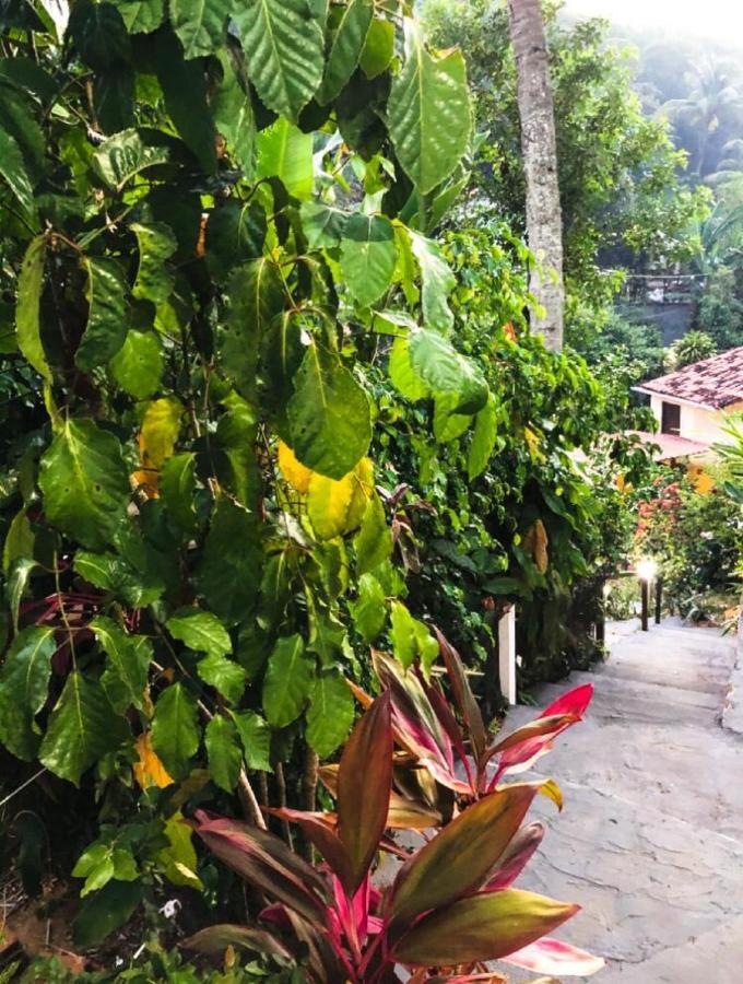 Remanso Da Ilha Bed and Breakfast Morro de São Paulo Exteriör bild